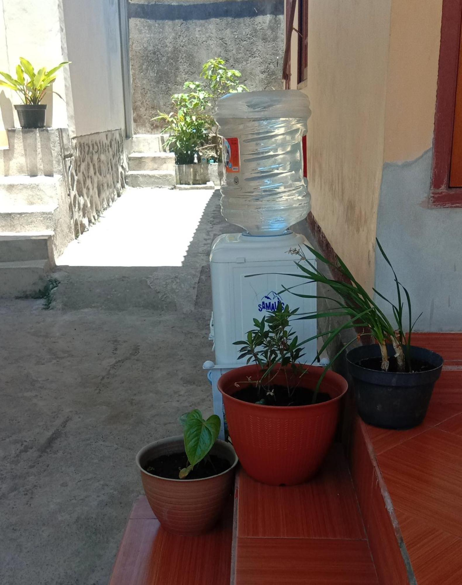 Radiya Guesthouse Sembalunlawang Exterior foto