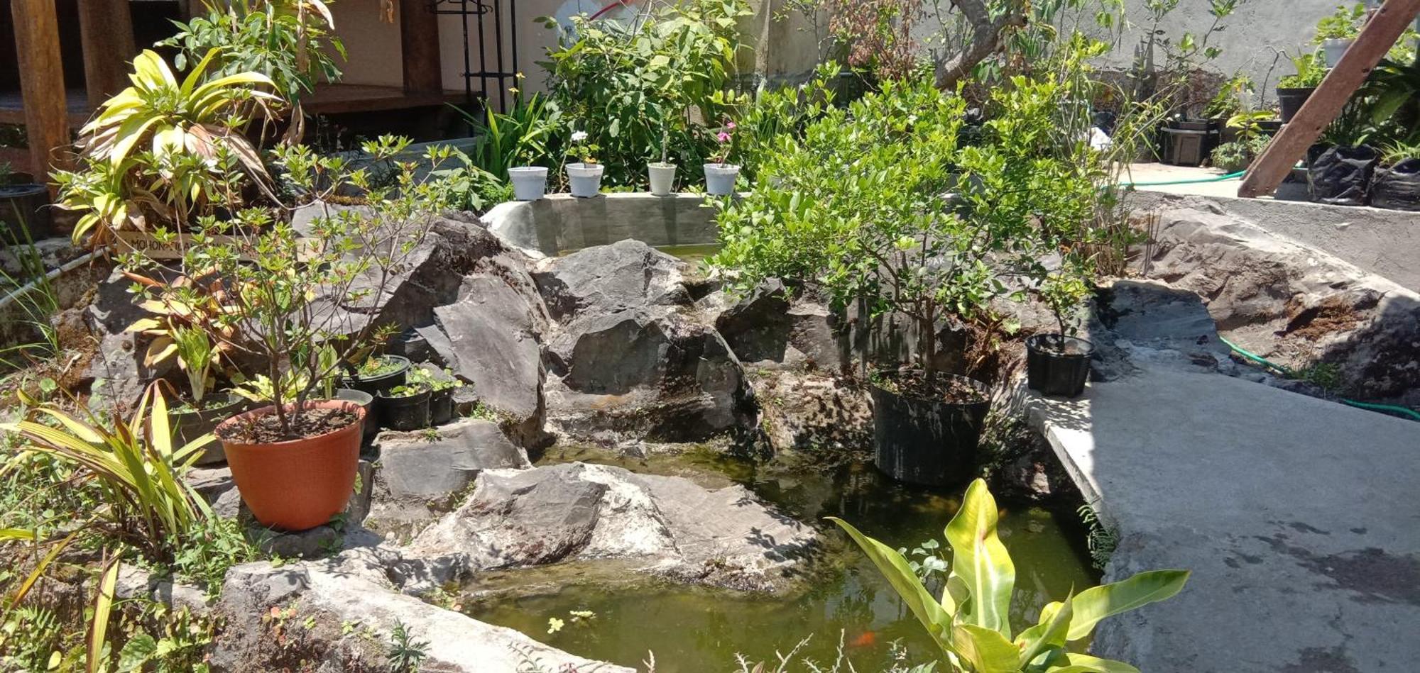 Radiya Guesthouse Sembalunlawang Quarto foto